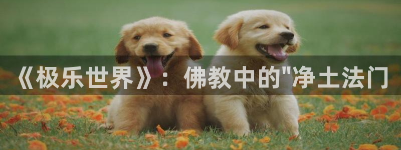 age动漫下载入口