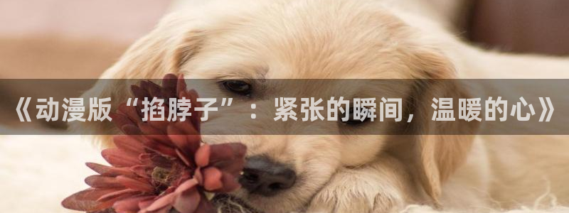 age动漫网