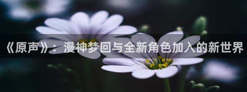 age动漫樱花