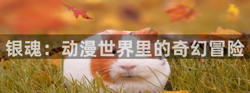 age动漫下载网