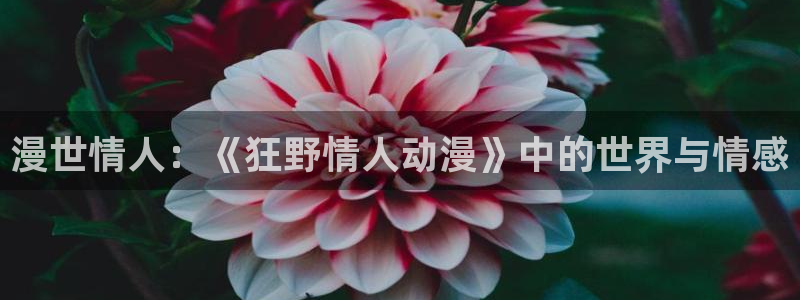 在线动画动漫下载age动漫