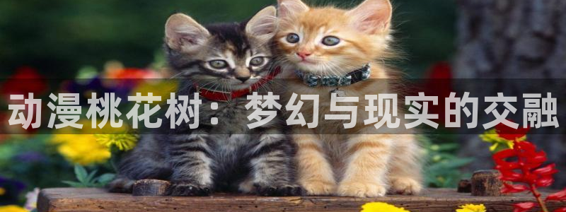 lovestage漫画免费阅读