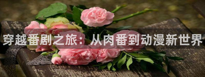 age动漫官网版入口