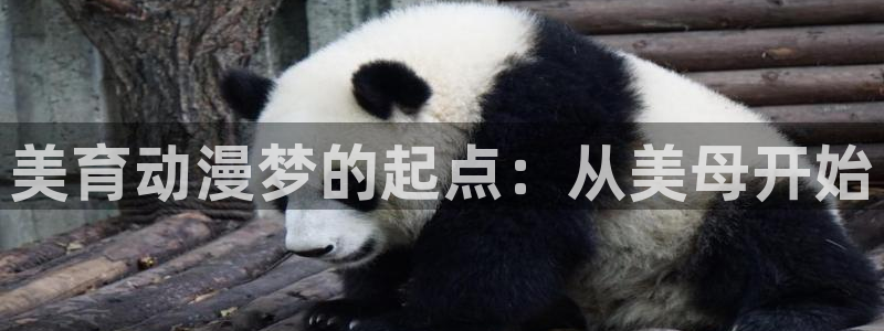 age动漫正版网