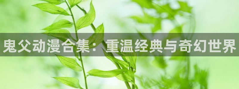 age动漫网下载