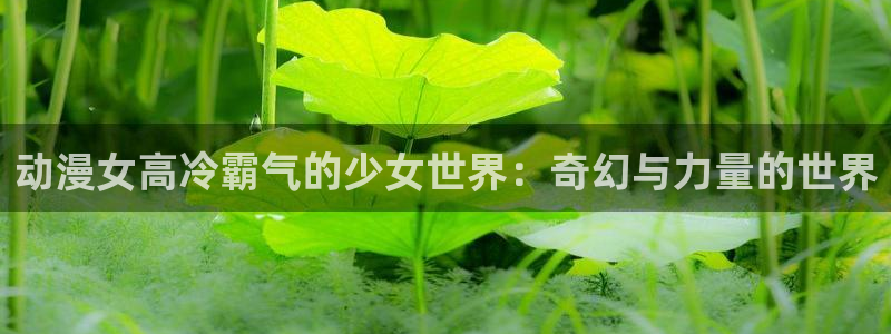 age动漫官网在线入口