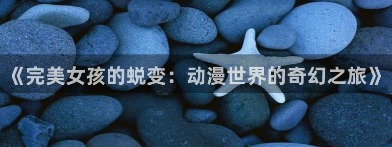 age动漫官网入口老版本