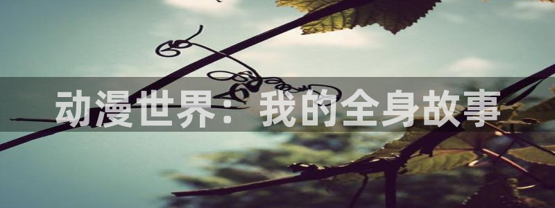 age动漫omofun