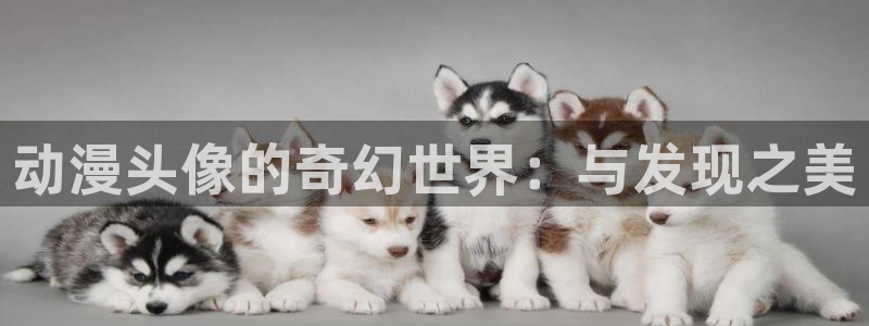 下载age动漫