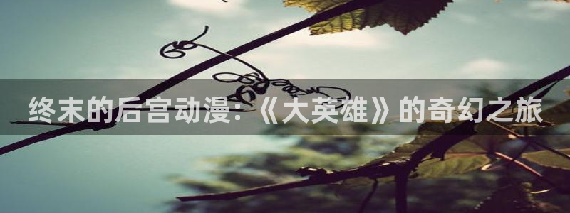 age动漫网下载