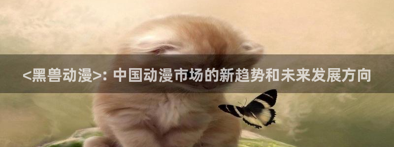 age动漫