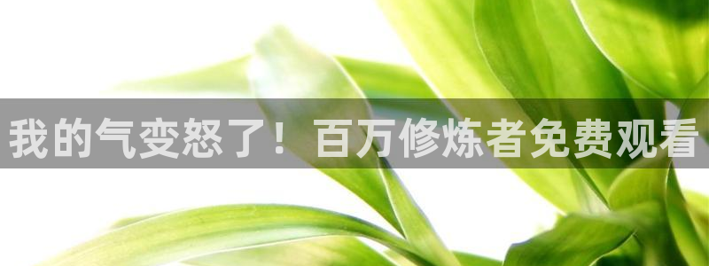 age动漫樱花
