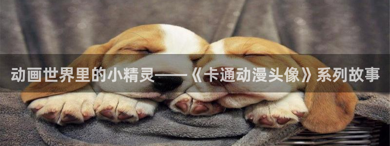 age动漫专注动漫的门户网站