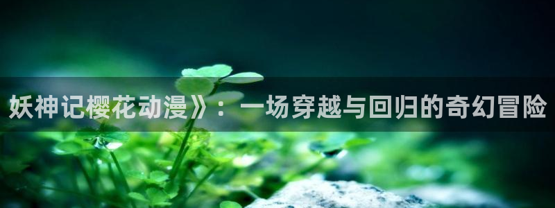 age动漫官网网址