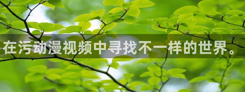 age动漫官网在线入口