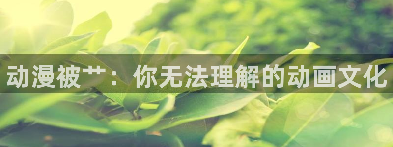 age动漫正版网