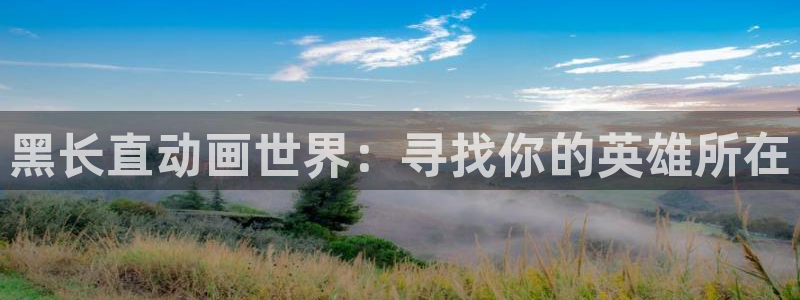 age动漫