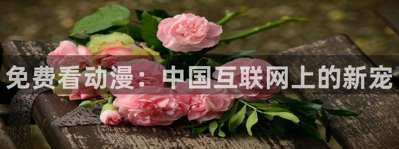 age动漫官网版入口