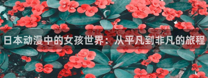age动漫专注动漫的门户网站