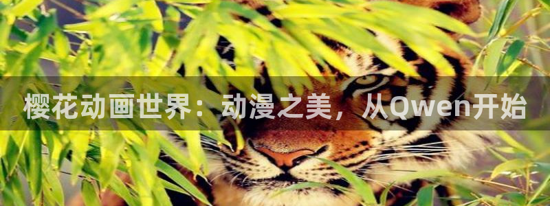 age动漫网