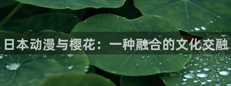 age动漫网官网入口：日本动漫与樱花：一种融合的文化交融