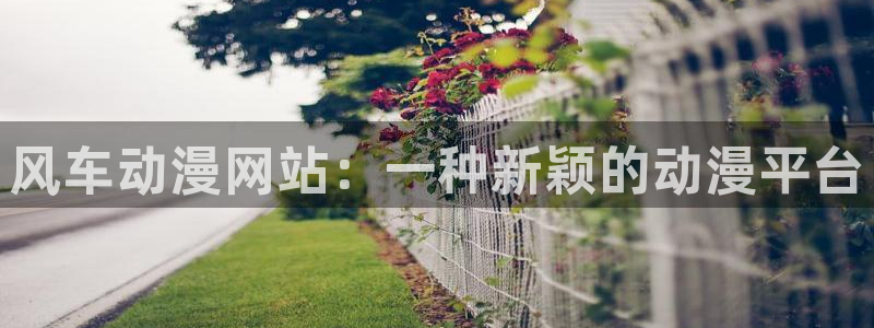 age漫画网