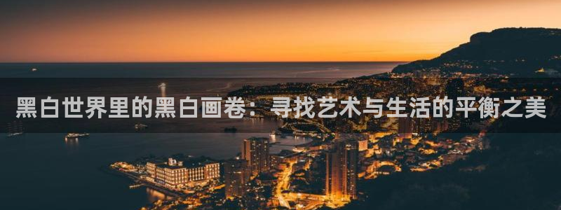 age樱花动漫：黑白世界里的黑白画卷：寻找艺术与生活的平衡之美