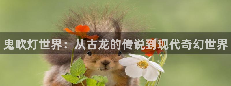 age动漫官网版入口：鬼吹灯世界：从古龙的传说到现代奇幻世界