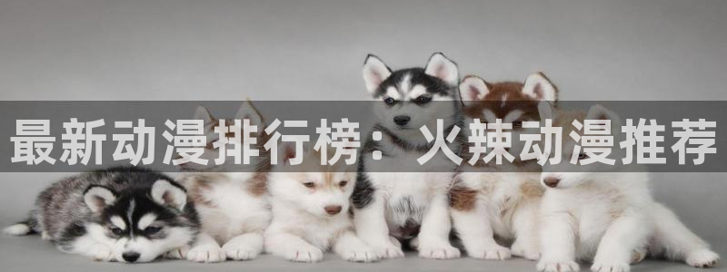 age动漫网上看