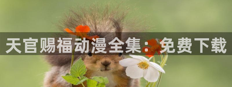 age动漫网上看