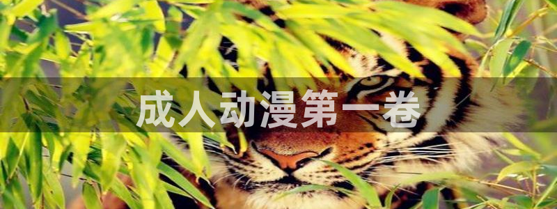 age专注动漫的门户网站
