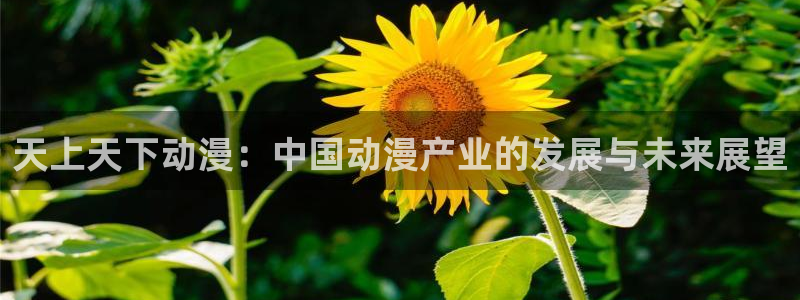 age动漫官网版入口