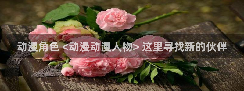 age动漫下载网