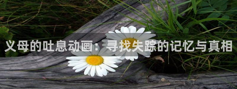kakaopage韩漫官网：义母的吐息动画：寻找失踪的记忆与真相