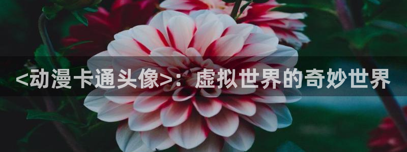 age动漫官网版入口：<动漫卡通头像>：虚拟世界的奇妙世界