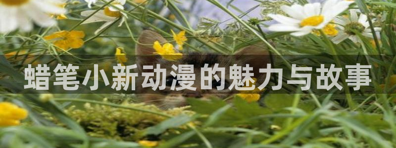 韩国漫画平台kakaopage：蜡笔小新动漫的魅力与故事